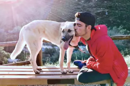 People and their pets in natural light outdoors